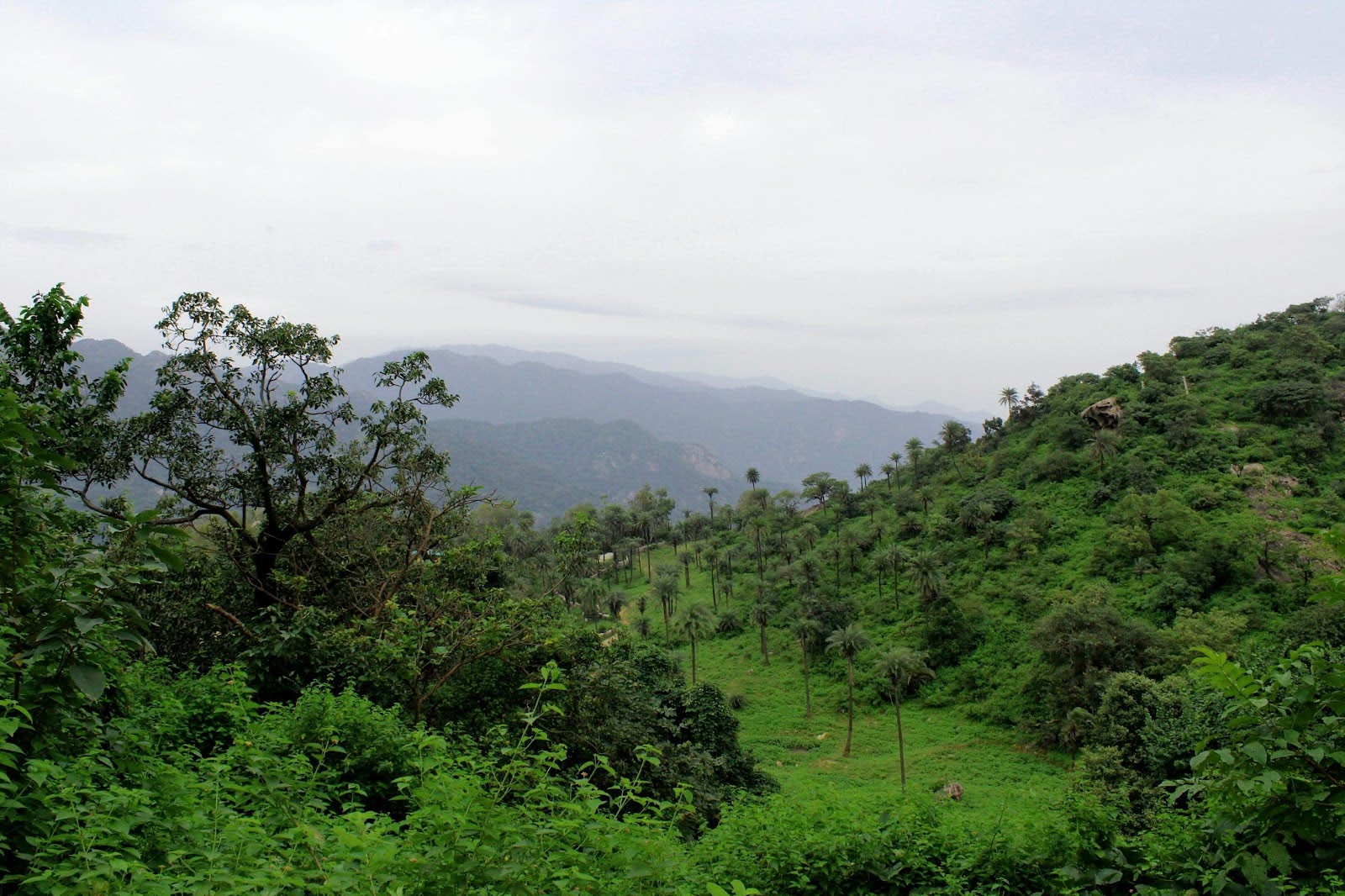 baluran national park