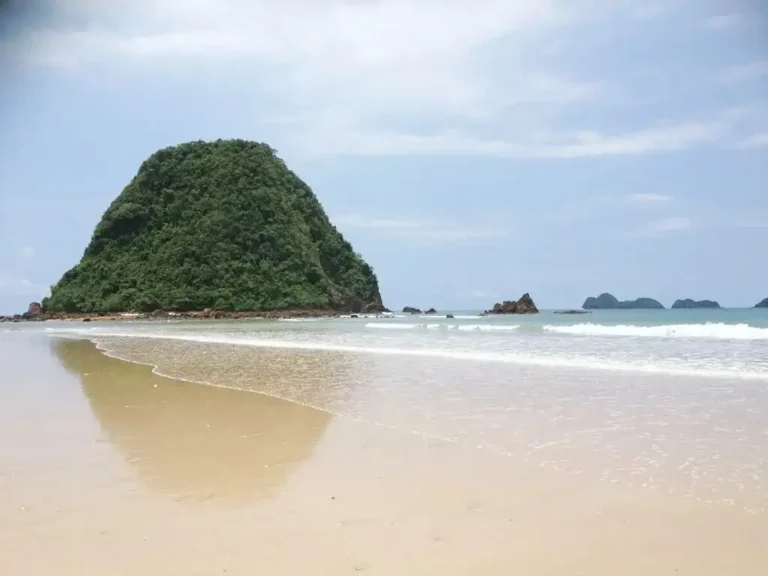 Sukamade Turtle Conservation
