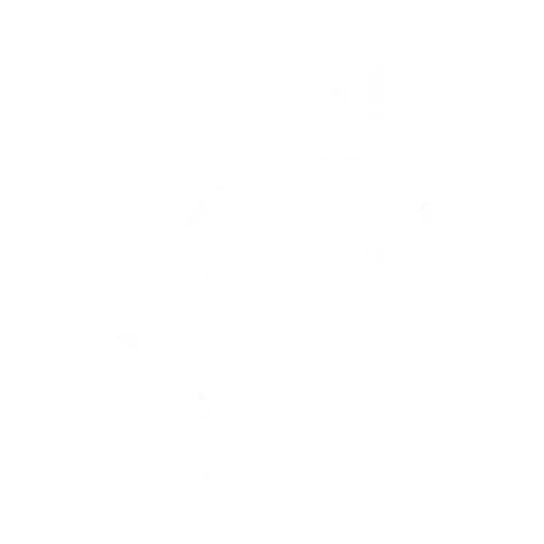 Travelers-Choice-2024-Dark