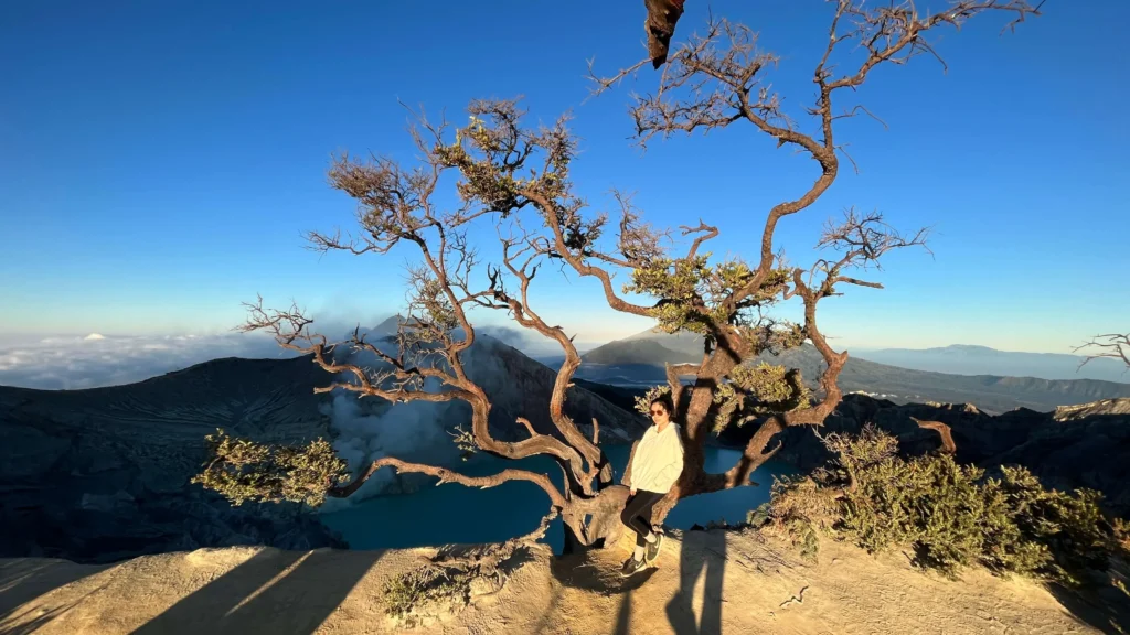 Bromo – Ijen – Sukamade Turtle Conservation