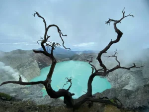 Visit Ijen