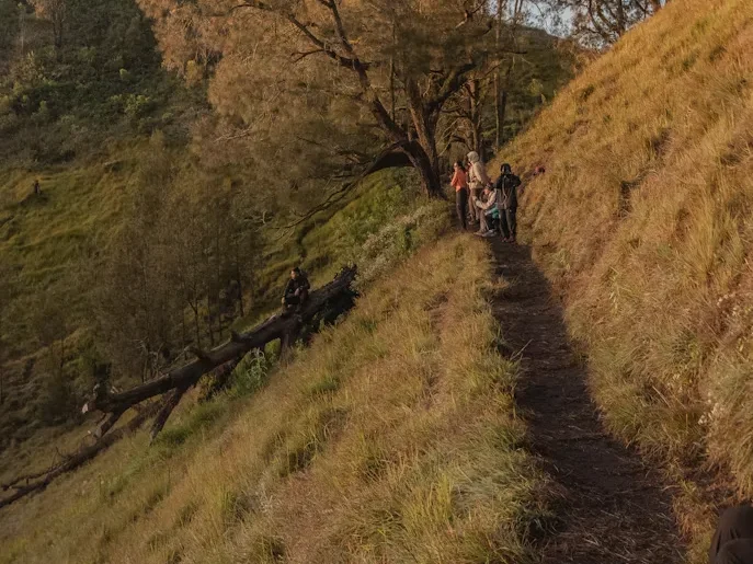 Group Trekking Together on Winding Mountain Path