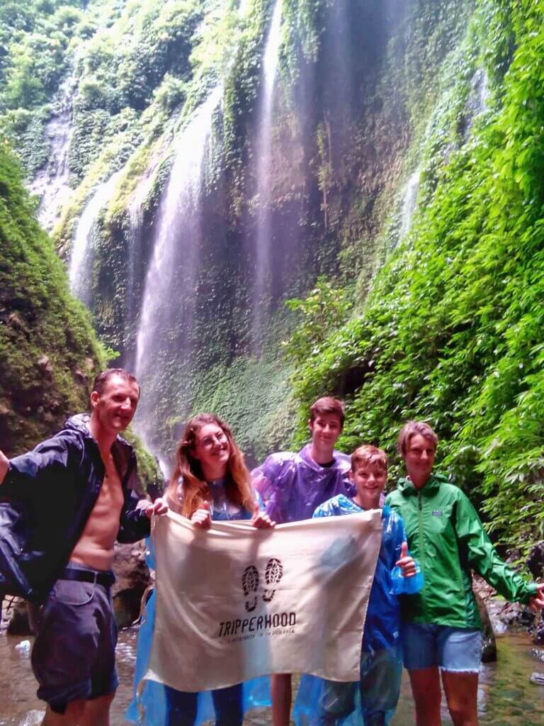 organized tours tripperhood