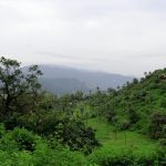 baluran national park