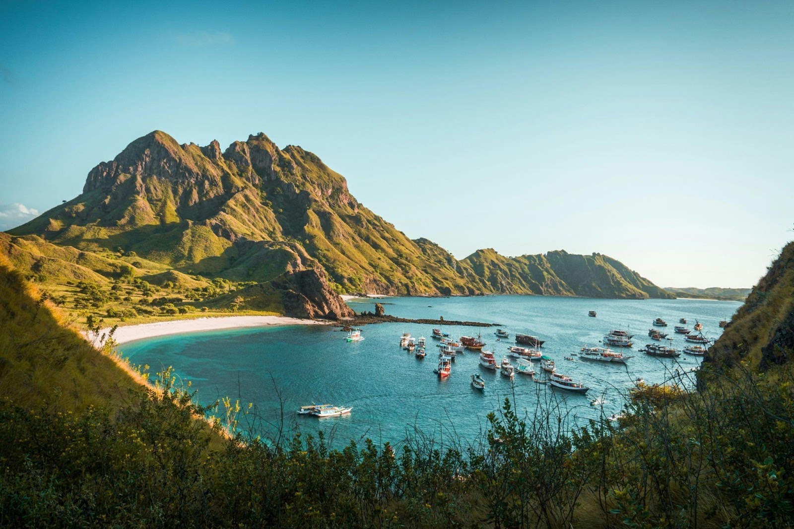 komodo tour