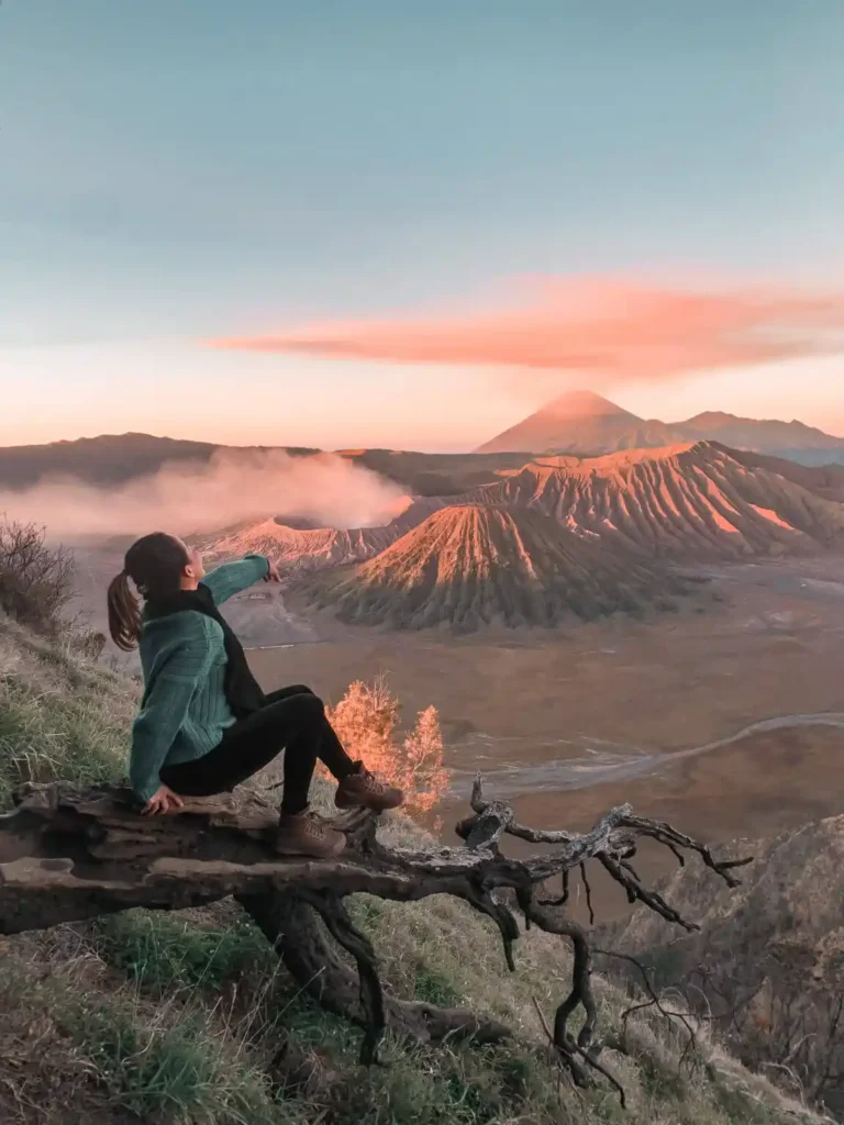 Bromo View