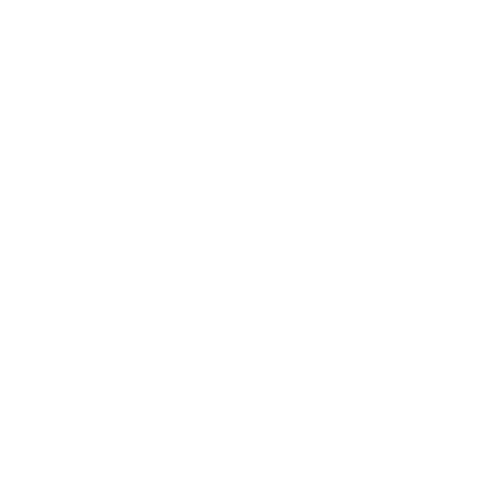 Traveler's Choice 2025 Dark